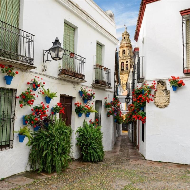 El Patio De San Miguel Lejlighed Córdoba Eksteriør billede